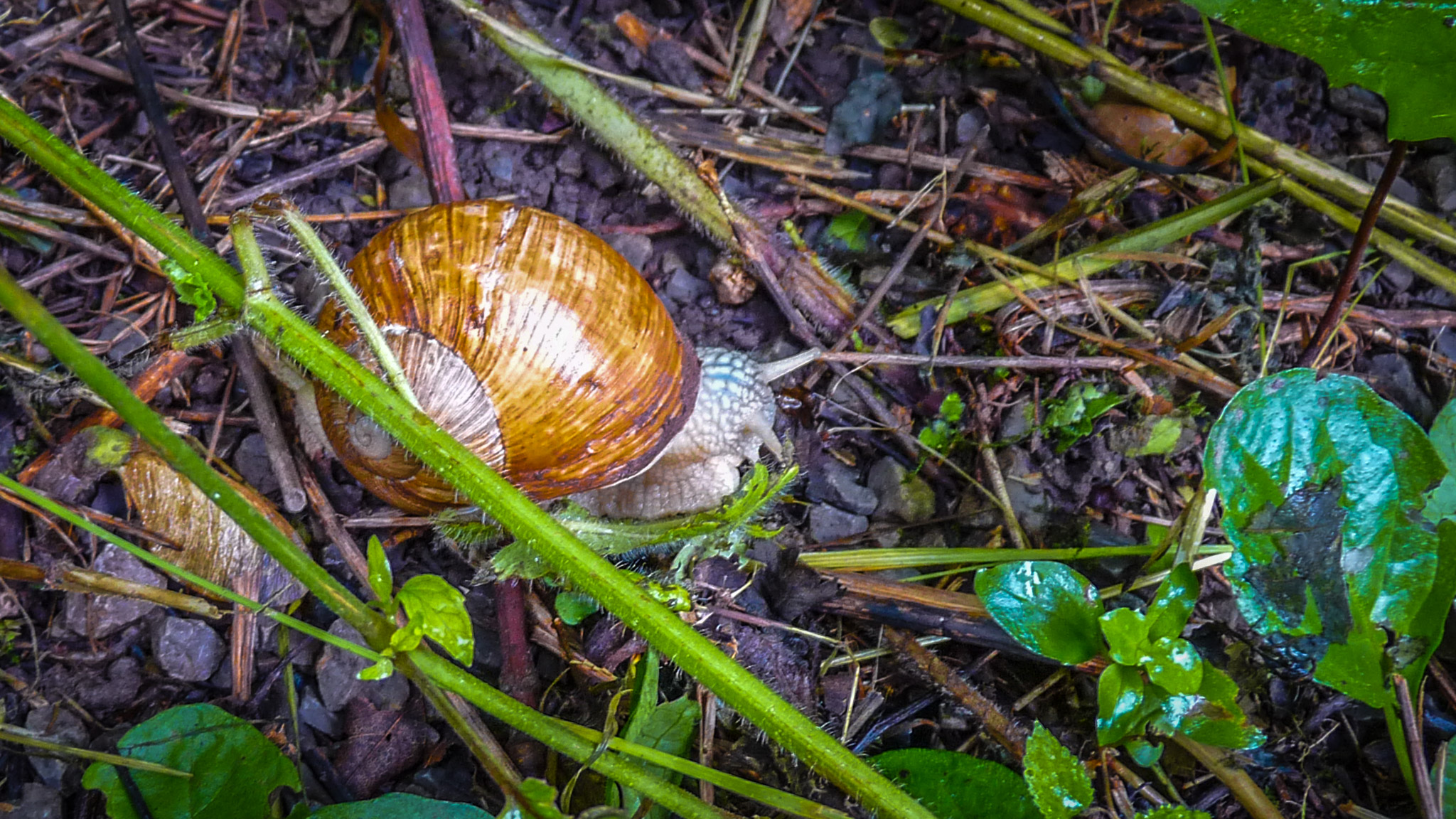 20210725105442 1130844